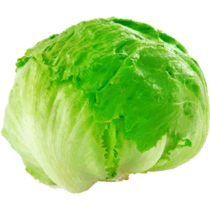 Lechuga Escarola 1 un.