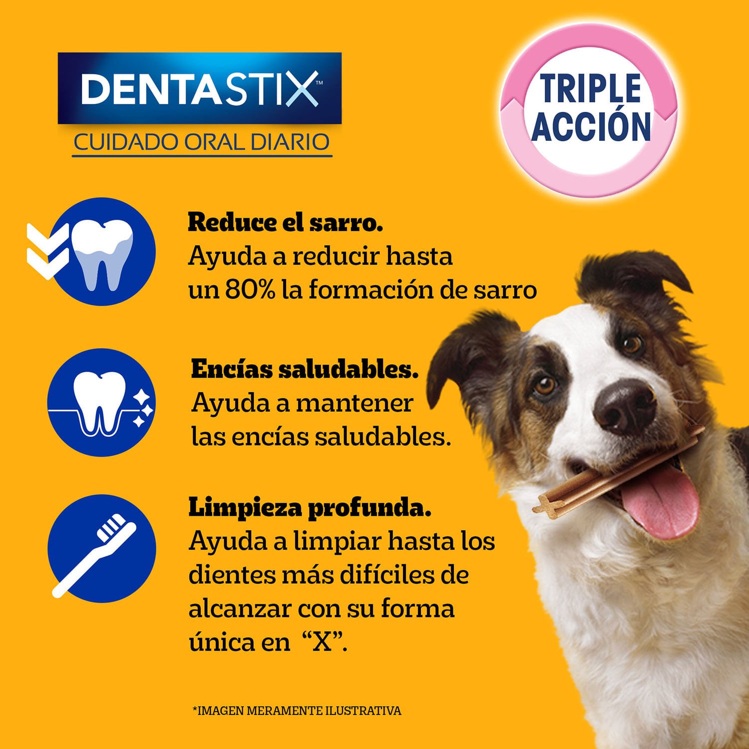 Snack Perro Pedigree Dentastix Raza Mediana 7 un. - Image 4